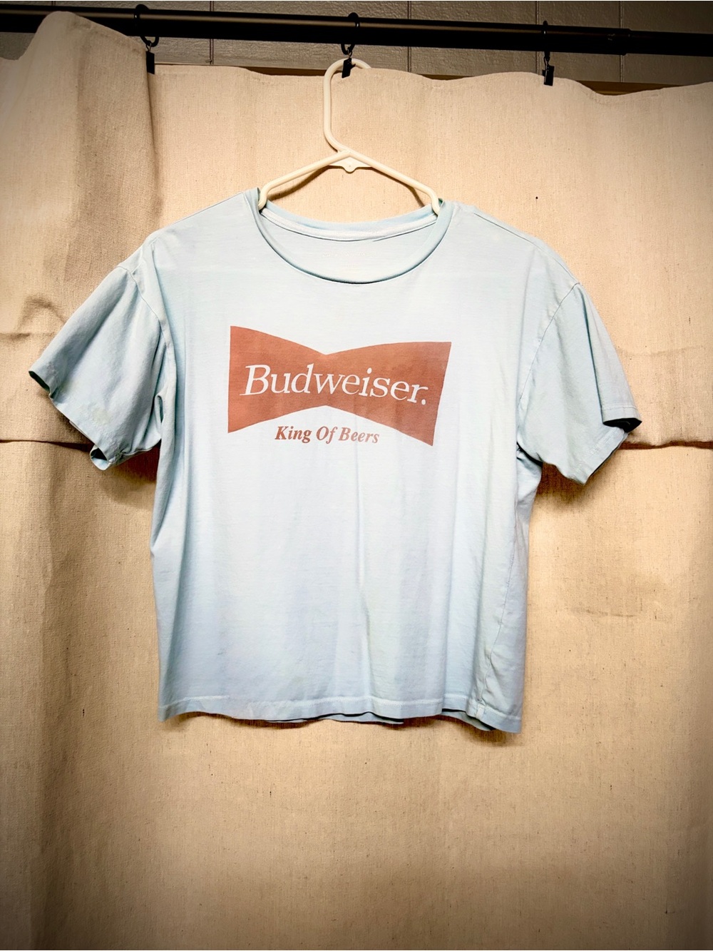 American Eagle Outfitters Light Blue Tee with Rust Logo